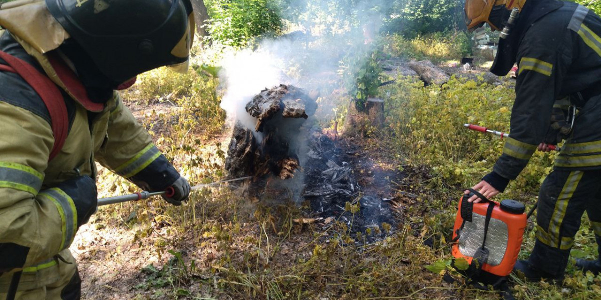 Более 460 населенным пунктам Якутии грозят лесные пожары