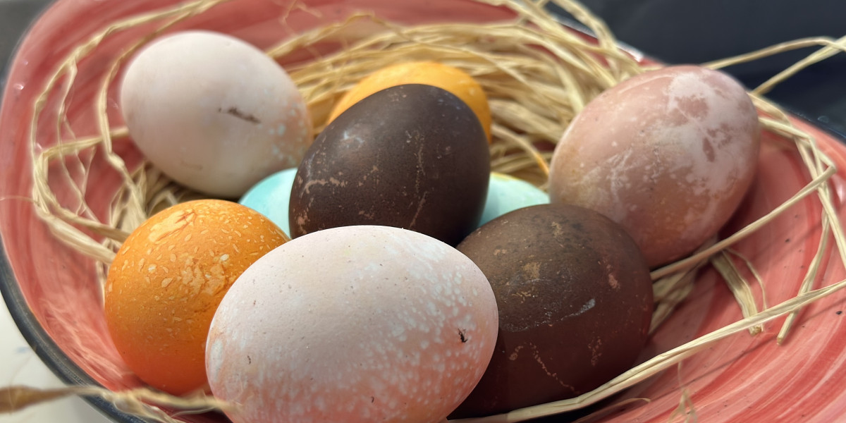Диетолог Светлана Козеева рассказала, сколько можно хранить сваренные яйца