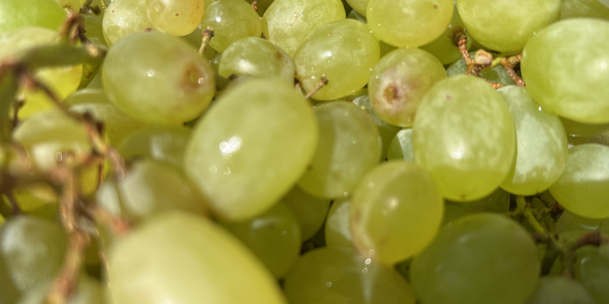 Диетолог Даниэла МакЭвой сообщила, что виноград помогает сохранить когнитивные функции и память